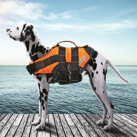 Chaleco Salvavidas para perros: Mantén a tu mejor amigo seguro en el agua